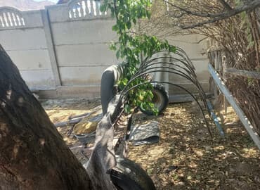 Абалы ото жакшы
толка ватсап иштейти