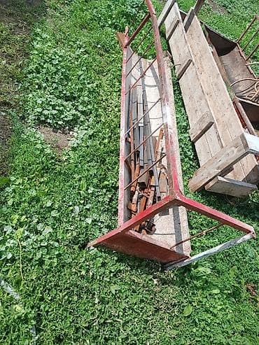 маркой свинка: Продаю | Баран (самец) — 5