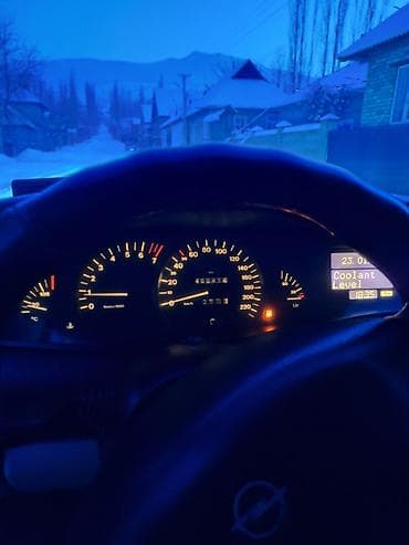 ом 613: Opel Omega: 1998 г., Бензин, Седан — 8