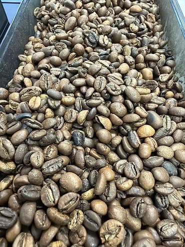 Кофе в зернах OUTLAW Americano, Arabica Blend - Формат: натуральный — 3