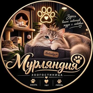 мистер: 🐾 Зоогостиница «Мурляндия» 🐾 Забота, уют и комфорт для ваших любимых — 7
