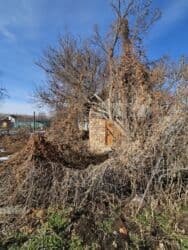 Үйдү ижарага алам: Дача, 40 кв. м, 3 бөлмө, Менчик ээси — 3