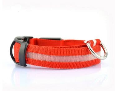 ошейник для кошек: Ошейник для средних собак и кошек, нейлоновый, светящийся — 4