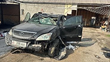 Автокосметика: Lexus RX (XU30) — автомобиль на разбор по запчастям. Кузов: кроссовер — 1