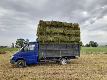 продажа домашних животных: Горный сено
Клевер 🍀 Тоо чоп — 5