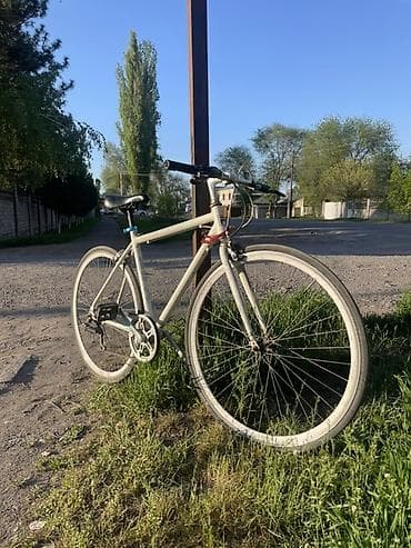 горах: Городской велосипед-фиксер/синглспид - Рама: стальная, классическая — 3