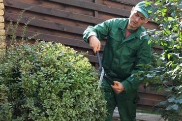 работа собирать клубнику: Требуются мужчины для земляных работ! Обязанности: - высадка растений — 1