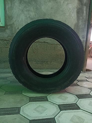Грузовые шины 265/70 R19.5 - Модель: Sava Cargo C3 (на фото также — 4