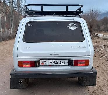 бензиновая лампа: ВАЗ (ЛАДА) 4x4 Нива: 1993 г., 1.6 л, Механика, Бензин, Внедорожник — 6