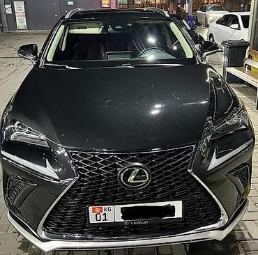 Lexus NX: 2020 г., Кроссовер