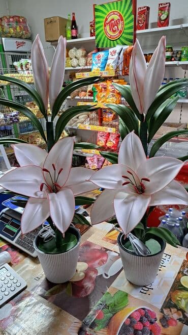 резиновый дилдо: Лилия светильник 
Лилия гулу 
Светильник 
Цветы 
Цветы Бишкек — 1