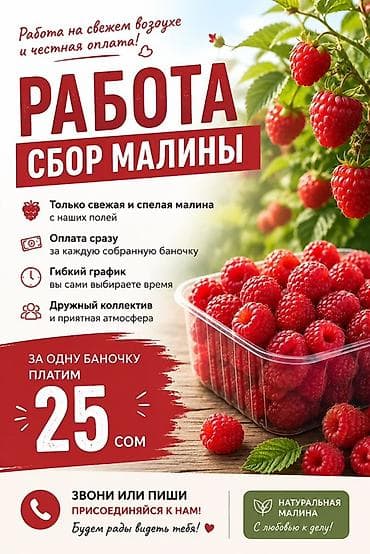 бекерге берем: Талап кылынат Түшүм терүүчү, Төлөм: Келишим түрдө — 1