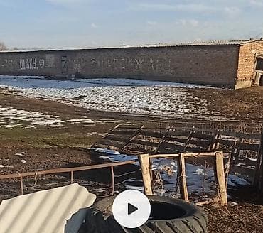 щербакова участок: Чоң Кошара Сарай сатылат 2комнат үйү менен Чүй облусу, Московский — 9