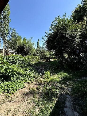 Дома: 📌В селе Беловодское срочно продаётся дом на участке 17 соток. ▪️Дом — 3