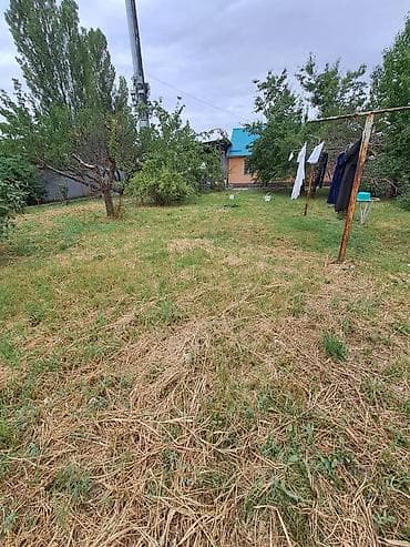 5 соток, Бизнес үчүн, Кызыл китеп — 1