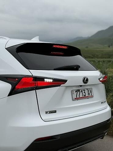 dio af27: Lexus NX: 2019 г., 2 л, Автомат, Бензин, Кроссовер — 8