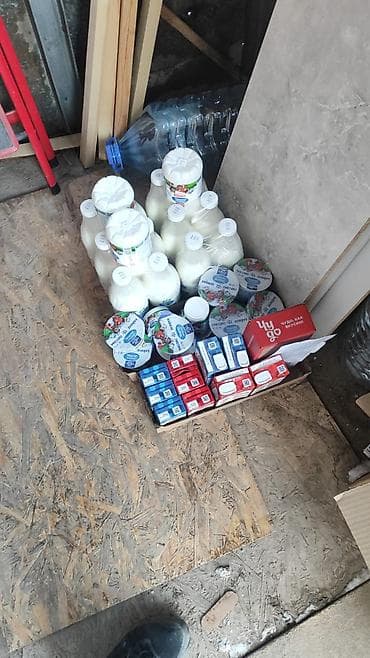 авто зонтик: Услуги манипулятора — 3