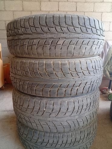 Шиналар 225 / 65 / R 17, All-season, Колдонулган, Комплект, Жол тандабастар (АТ/МТ), BFGoodrich