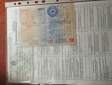 хопёр ковш: Погрузчик, 2022 г., Колесный, Фронтальный — 5