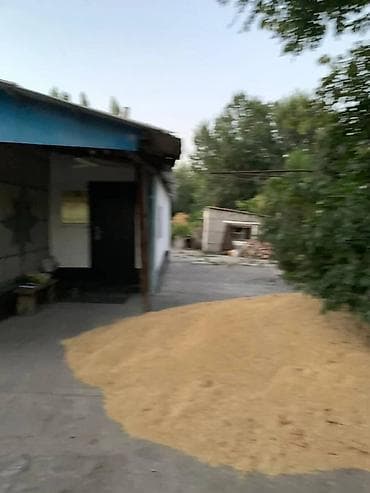 Үйдү ижарага алам: Дом с приусадебным участком. - Одноэтажный жилой дом с двускатной — 4