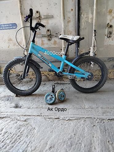 беговел детский бу: Детский велосипед Capella, диаметр колёс 16". Цвет: голубой — 1