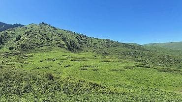 Спорт жана хобби: Kaynar Guest Resort — природно-оздоровительный отдых в Чон-Кемине — 6