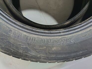 шины оптом бу: Шины — 9