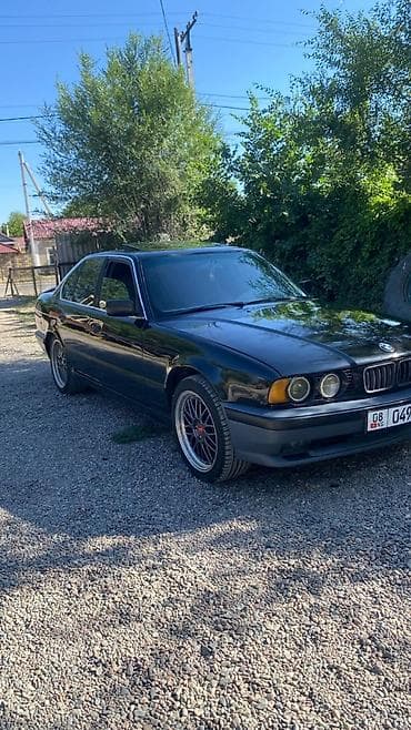 шкиф каленвала: BMW 5 series: 1995 г., 2.5 л, Механика, Бензин — 2