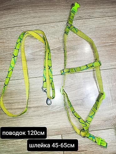 мышка ош: Продаю б/у амуницию для собак мелких и средних пород. оптом - 1350 — 2