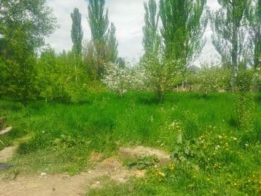 дом институт земледелия: Барак, 93 кв. м, 6 бөлмө, Менчик ээси — 4
