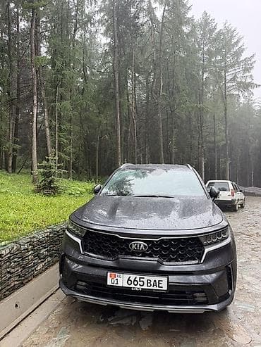 тигил: Kia Sorento: 2020 г., 1.6 л, Автомат, Гибрид, Кроссовер — 1