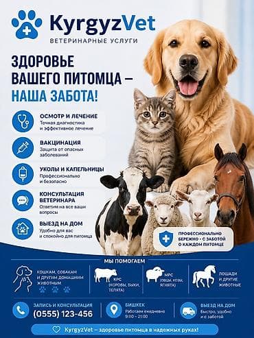 ветеринар каракол: KyrgyzVet — ветеринарные услуги для домашних и сельскохозяйственных — 1