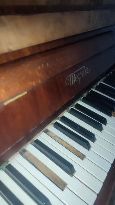 Гитаралар: Пианино Терек 7000сом срочно!!!! — 5