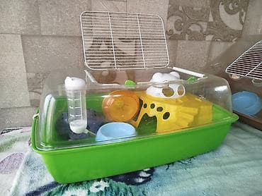 3д сетки: Клетка . террариум . в отличном состоянии размеры : длина 53 ширина — 6