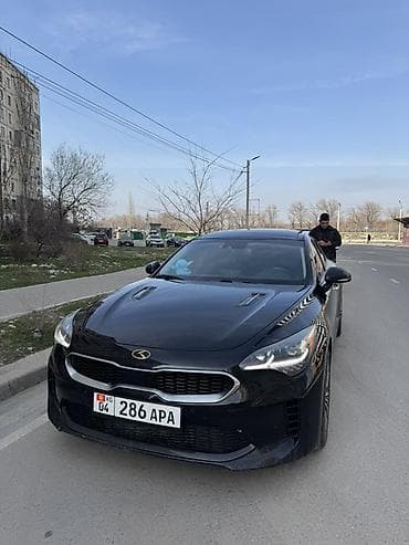 вложений: Kia Stinger: 2019 г., 2 л, Автомат, Бензин, Седан — 1