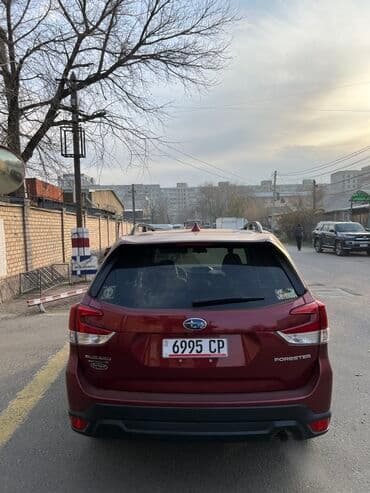 разноширокие шины: Subaru Forester: 2020 г., 2.5 л, Вариатор, Бензиновая, Кроссовер — 2