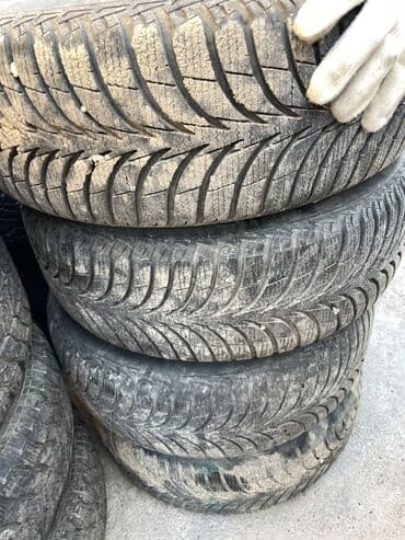 шины на рекс: Шины — 16