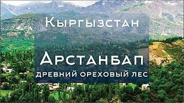 водитель категория д: ГИД ТРАНСФЕР НА АВТО СОНАТА — 3
