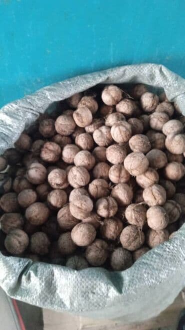 чемодан с инструментами купить: Грецкие орехи в скорлупе - Натуральные грецкие орехи в мешке — 1