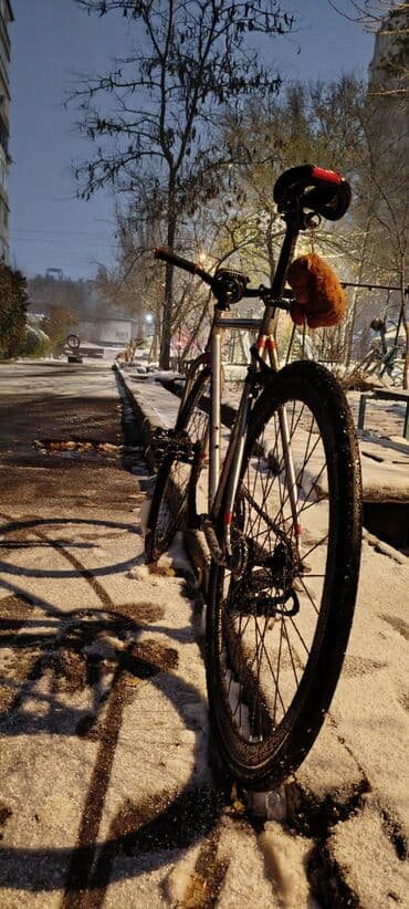 держатель телефона для велосипеда: Шоссейный велосипед, Рама L (172 - 185 см), Б/у — 10