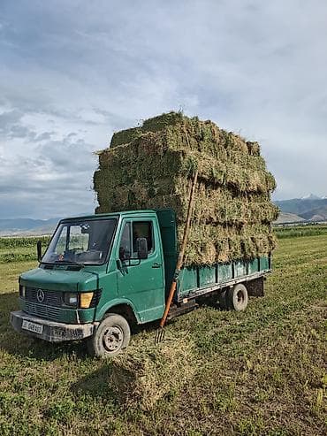 коробка сапог: Грузовик, Mercedes-Benz, Стандарт, 5 т, Б/у — 6