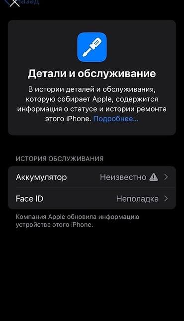 electric induction: IPhone Xs, Б/у, 256 ГБ, Space Gray, Чехол, 100 % — 4