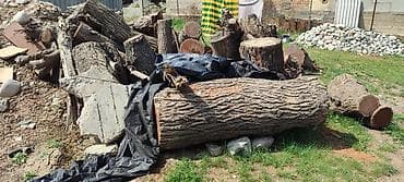 Все для дома и сада: Дрова — 4