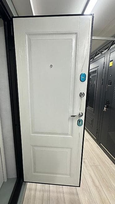 solutions elementary: Двери для домов и квартир, Металлическая, Одностворчатая, Правосторонняя, цвет - Белый — 1