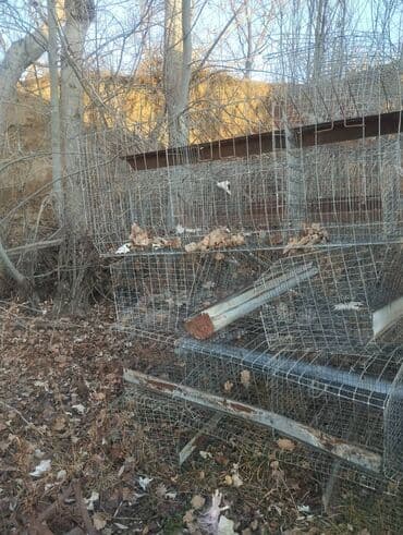 калька цена бишкек: Клетка для курицы — 2