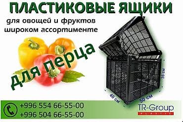 Пластиковый Ящик, Новый at lalafo.kg Пластиковый Ящик, Новый