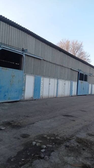 дордой квартира берилет: Бизнес үчүн — 2