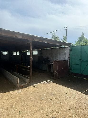 Кыймылсыз мүлк: Продаётся жилой дом . Город Кант село кировское подходит к — 9