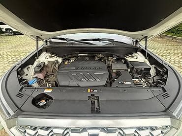 100: Hyundai Palisade: 2020 г., 2.2 л, Автомат, Дизель, Кроссовер — 6