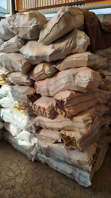 Газонокосилки: Дрова — 5